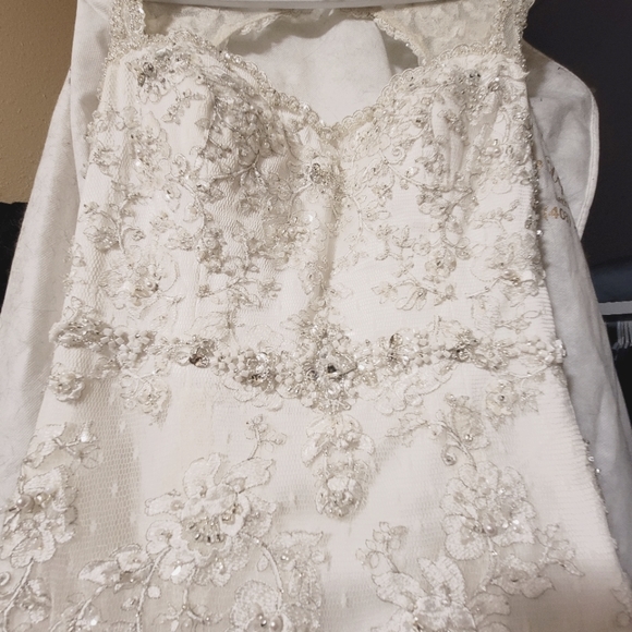 'Alfred Angelo Sapphire' Ivory Lace Beaded Mermaid Sillhoutte Wedding Gown - Picture 6 of 16